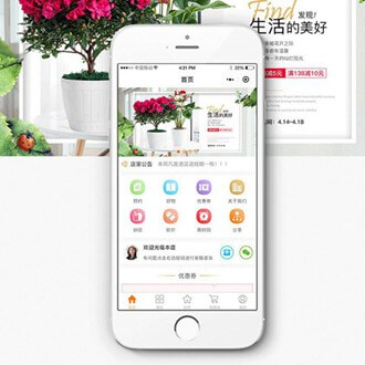 康马门店微商城小程序开发