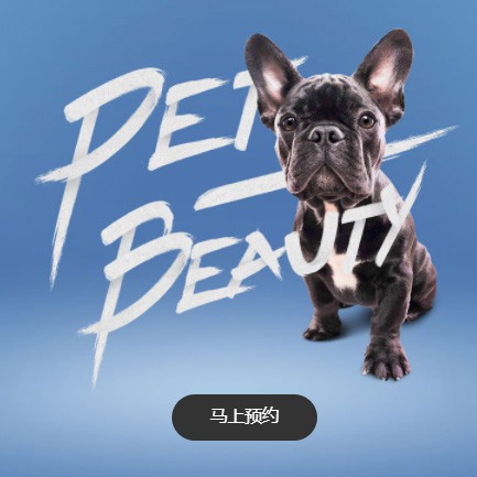 康马宠物中心小程序开发