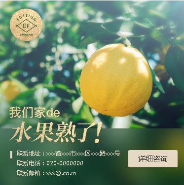 康马果园果林小程序开发